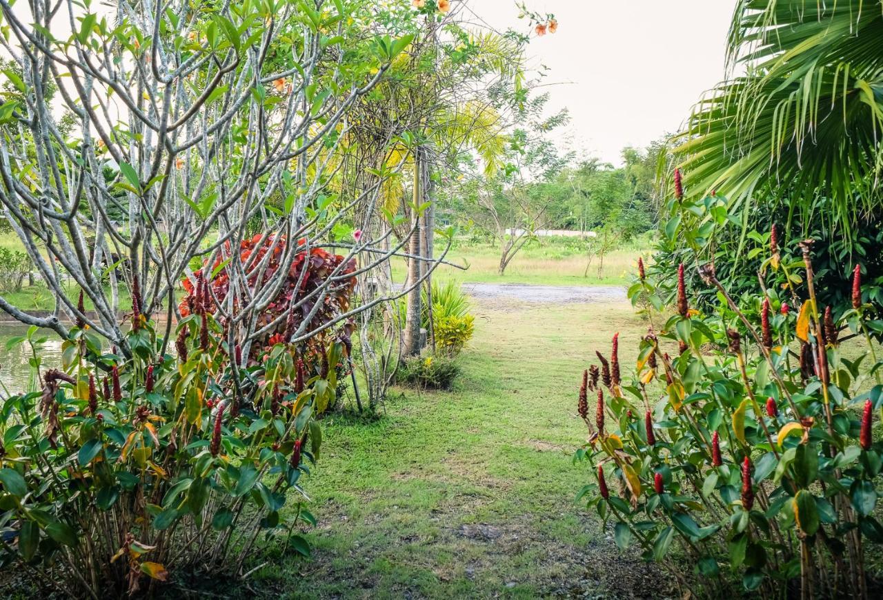 Rommai Chiang Rai Wisma tamu 3*